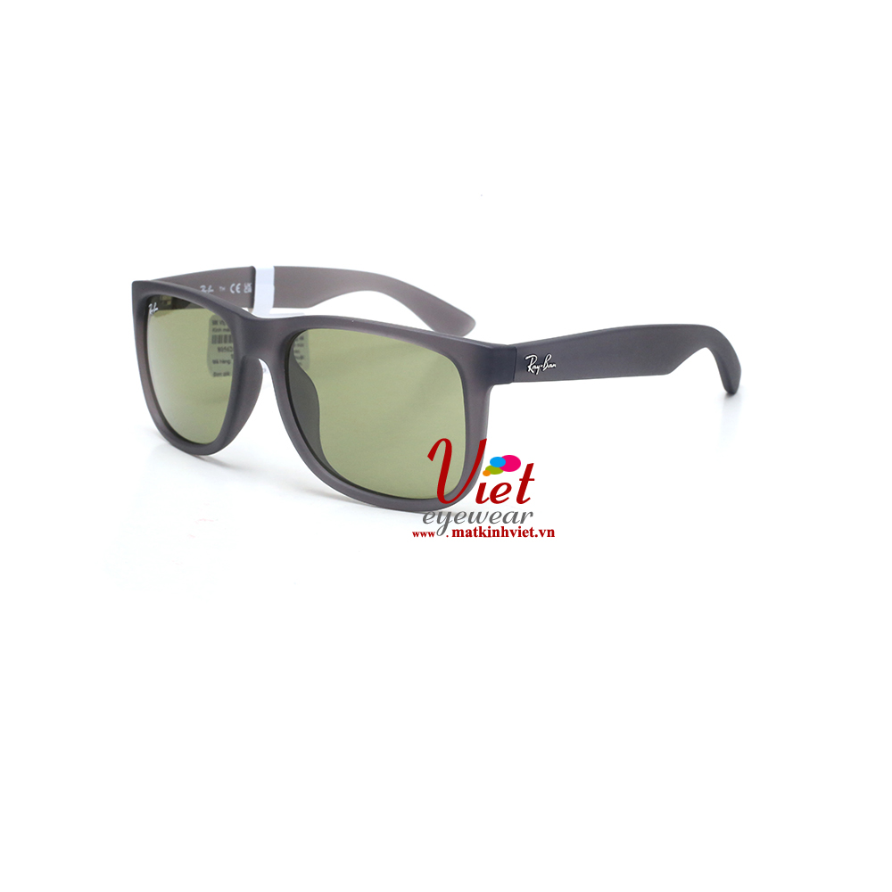Kính mát RayBan RB4165F 6873/82